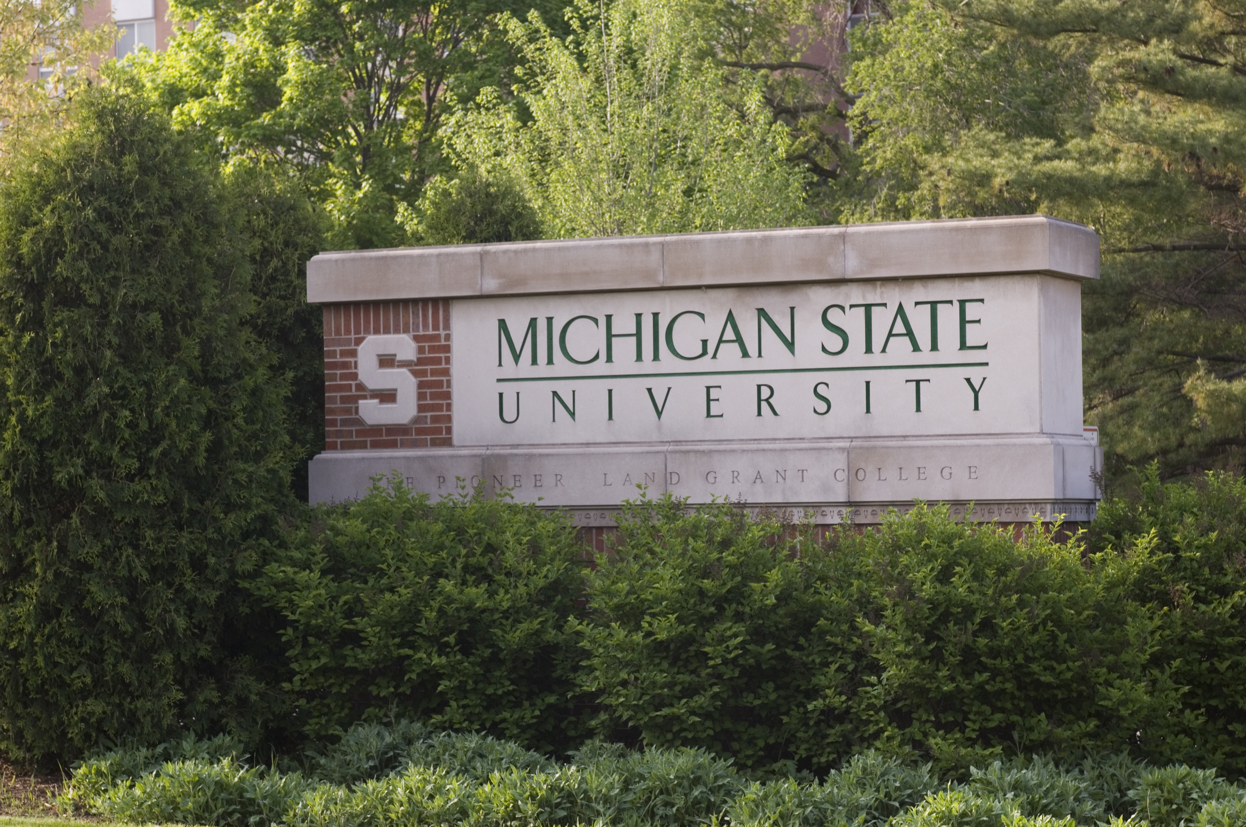 MSU Sign