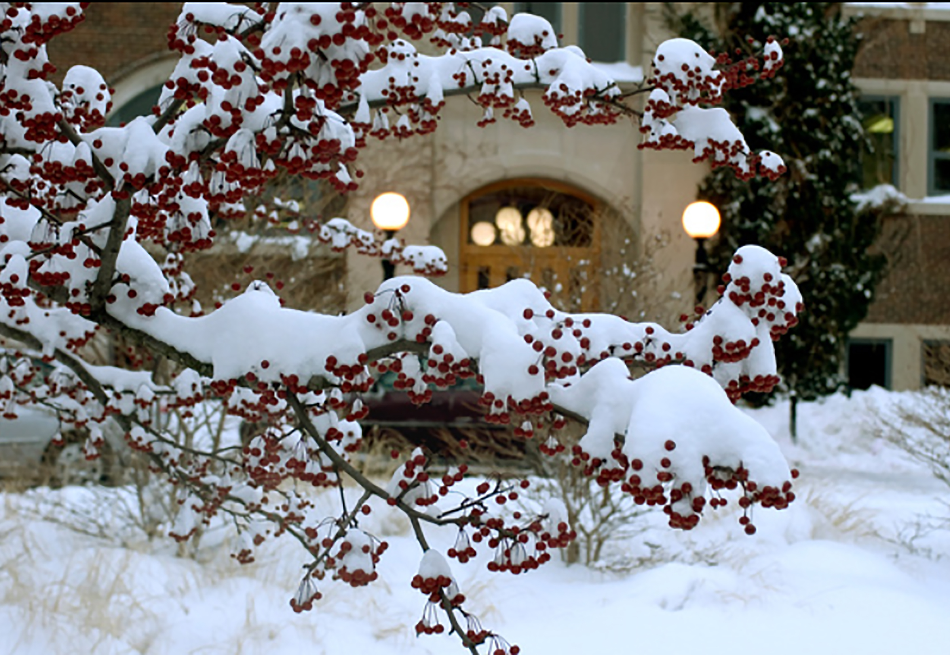 MSU Union in Winter