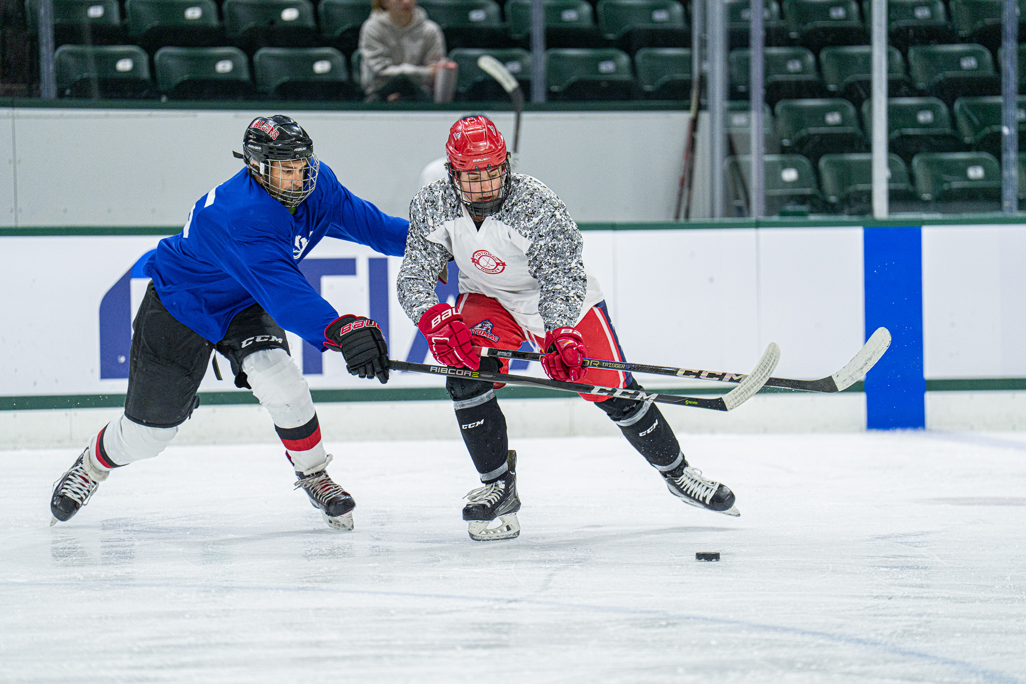 Ice Hockey Action Shot