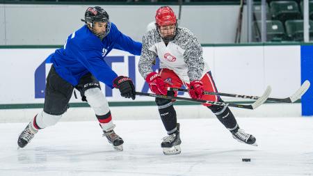 Ice Hockey Action Shot